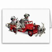 Brown's "Social Justice" Fire Brigade