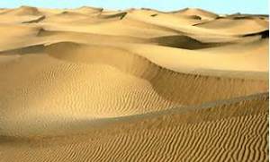 The Washington Desert