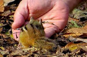 Approaching God is no different...