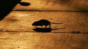 From out of nowhere! 